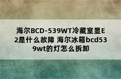 海尔BCD-539WT冷藏室显E2是什么故障 海尔冰箱bcd539wt的灯怎么拆卸